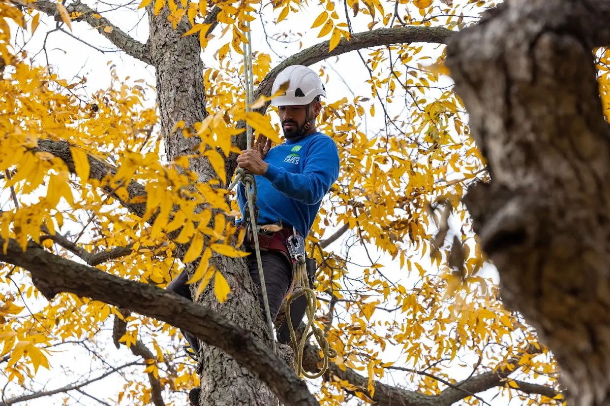 Skilled Storm Damage Cleanup crew working in Prairie City